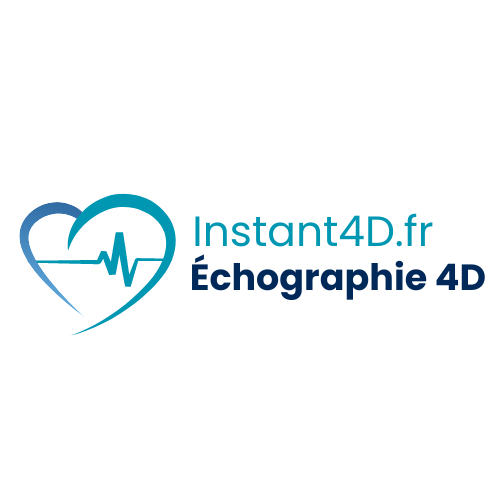 Instant4D